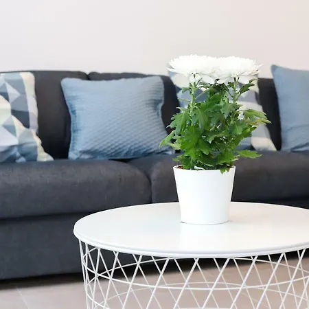 High Class Flat Apartment